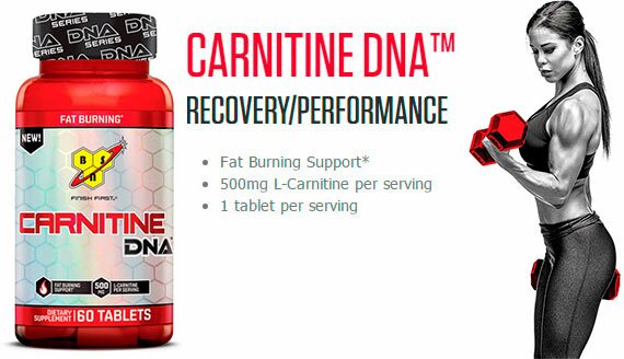 BSN-Carnitine-DNA-banner